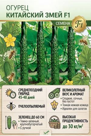 Огурец Китайский змей F1