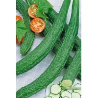 Огурец Китайский Фермерский F1