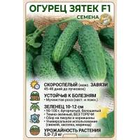 Огурец Зятек F1