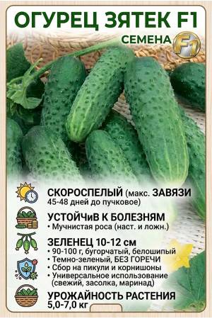 Огурец Зятек F1
