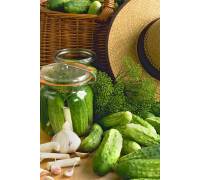 Огурец Бочковой засол