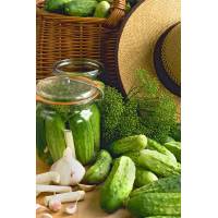 Огурец Бочковой засол