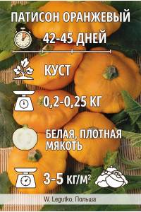Патиссон Оранжевый