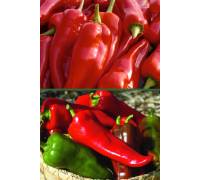 Перец Аллигатор