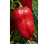 Перец Арамис F1