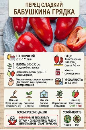 Перец Бабушкина грядка