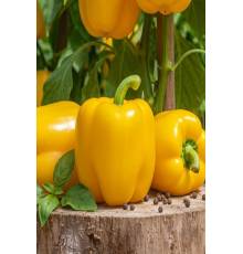 Перец Гигант Жёлтый F1