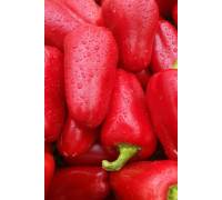 Перец Язычок тещи