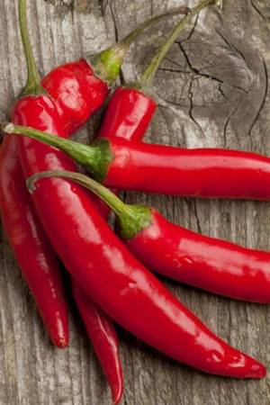 Перец острый Жгучий нос