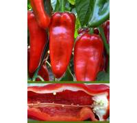 Перец Куртовская Капия сладкий