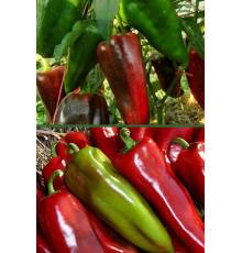 Перец Паланачка Капия сладкий 