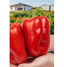 Перец Супер-Слон F1