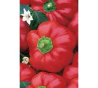 Перец Новогогошары