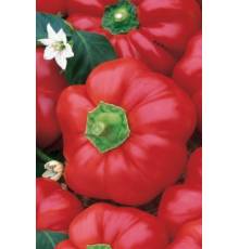 Перец Новогогошары