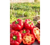 Перец Гогошары