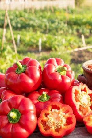 Перец Гогошары