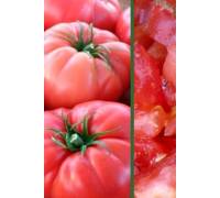 Томат Дикая роза