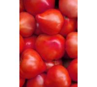 Томат Хали-Гали F1 