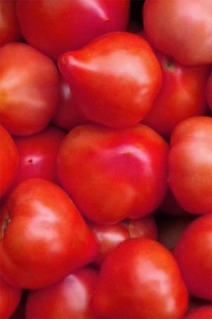 Томат Хали-Гали F1 