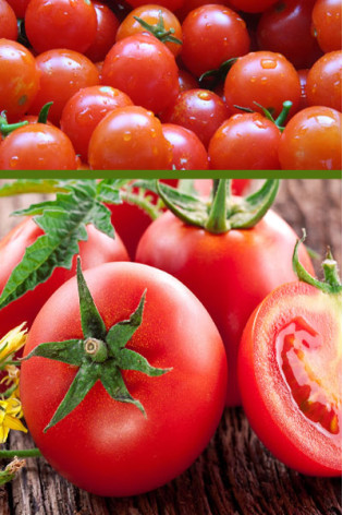 Купить семена помидоров Кроха с доставкой по почте в интернет магазинеAgrosemena.by
