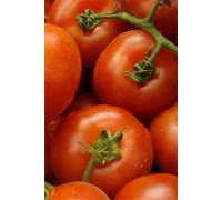 Томат Приз