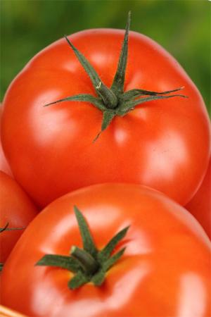 Томат Рапсодия F1 