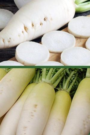 Редька Агата