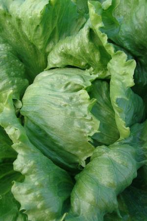 Салат Машенька кочанный