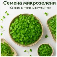 Семена микрозелени