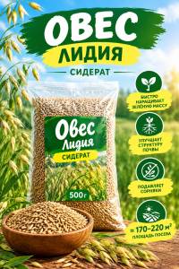 Овес Лидия 500 гр