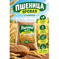 Пшеница яровая Славянка 500 гр