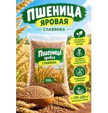 Пшеница яровая Славянка 500 гр