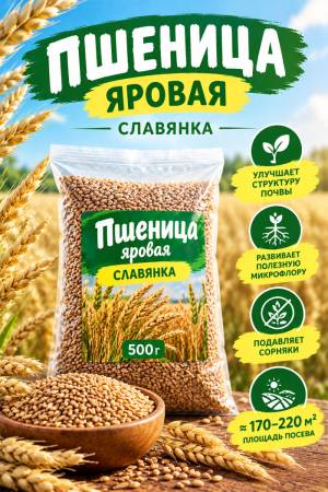 Пшеница яровая Славянка 500 гр