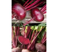 Свекла Египетская плоская 3 гр