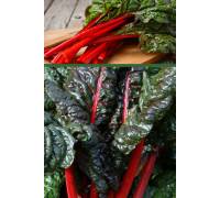 Мангольд Красный свекла листовая 