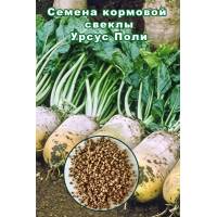 Свекла Урсус Поли кормовая (1 килограмм)
