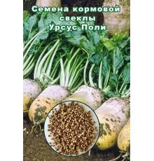 Свекла Урсус Поли кормовая (1 килограмм)