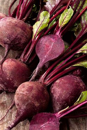 Свёкла Патрик