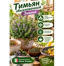 Тимьян обыкновенный Зимний
