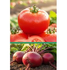 Томат Андромеда F1 - 0.05 гр | Свекла Красный шар 2 - 2 гр