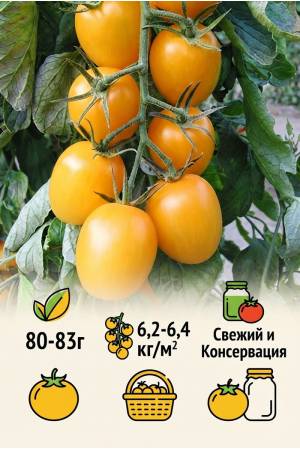 Томат Де Барао золотой