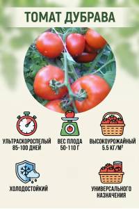 Томат Дубрава 0.03 гр