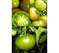 Томат Изумрудное яблоко