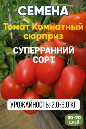 Томат Комнатный сюрприз