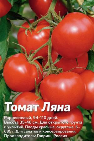 Томат Ляна - подарок