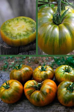 Томат Малахитовая шкатулка