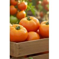 Томат Мармеладный