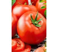 Томат Сагатан F1