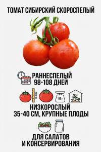 Томат Сибирский скороспелый 0.03 гр