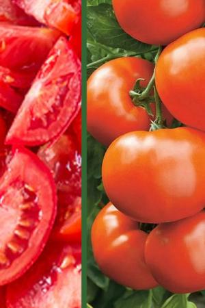 Томат Вкус детства